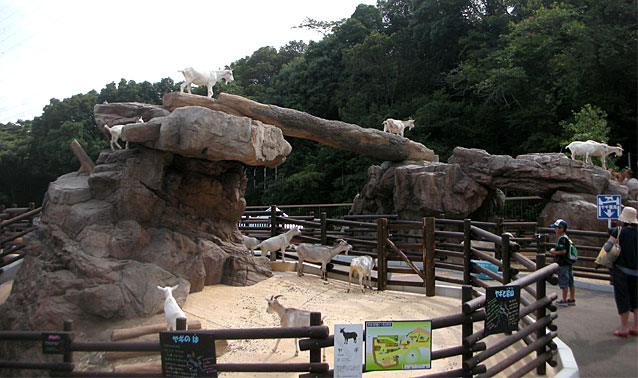 到津の森公園・ヤギ山