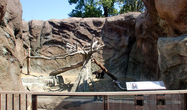 平川動物公園・クロヒョウ・マレーグマ舎