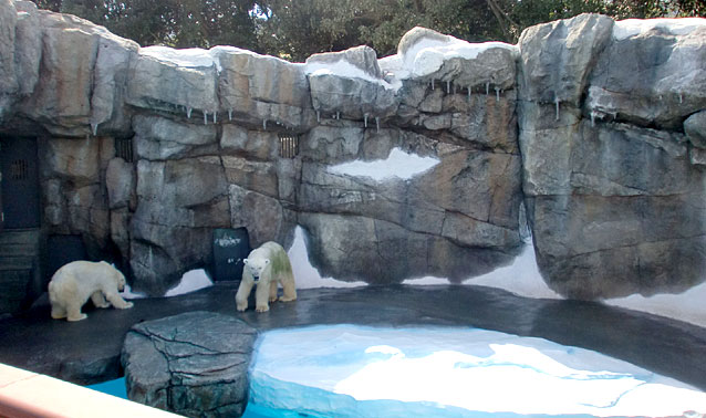 平川動物公園・ホッキョクグマ舎