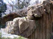 多摩動物公園オオカミ・トラ舎　擬岩