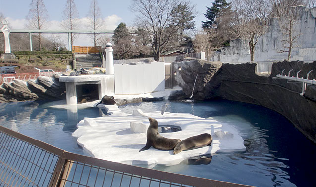 東山動植物園・アシカ・アザラシ舎