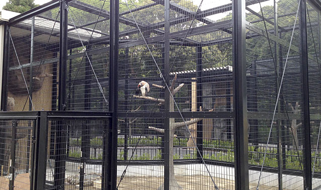 平川動物公園・猛禽類舎