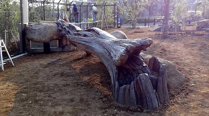 横浜動物の森公園（ズーラシア）北側園地整備工事・リカオン観察壕擬岩・擬木工事