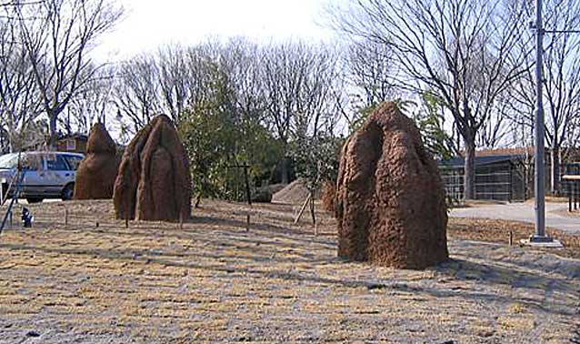 豊橋総合動植物公園・オーストラリア館