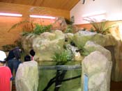 到津の森公園・里のいきもの館　FRP　擬岩