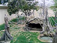 王子動物園 ゴリラ舎