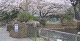 王子動物園