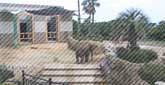 宮崎市フェニックス自然動物園