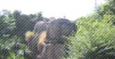 到津の森公園