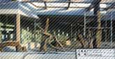 豊橋総合動植物公園